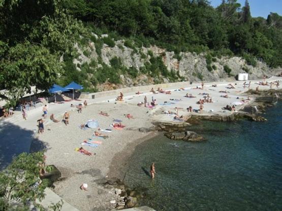 Apartament Uz *